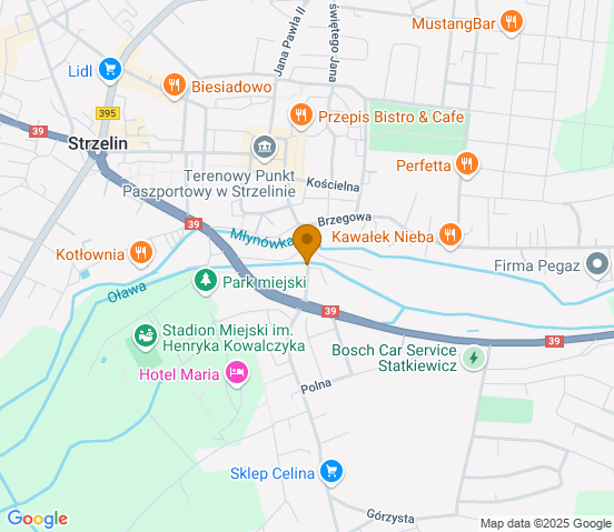 Mapa dojazdu do hurtowni motoryzacyjnej w miejscowości Strzelin