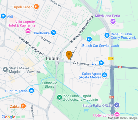 Mapa dojazdu do warsztatu samochodowego w miejscowości Lubin