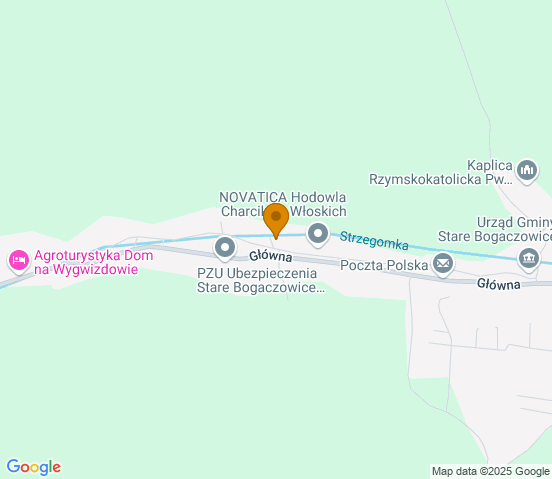 Mapa dojazdu do warsztatu samochodowego w miejscowości Stare Bogaczowice