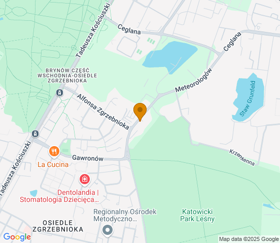 Mapa dojazdu do warsztatu samochodowego w miejscowości Katowice