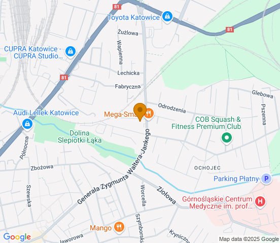 Mapa dojazdu do warsztatu samochodowego w miejscowości Katowice