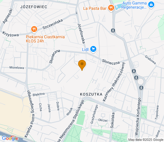 Mapa dojazdu do warsztatu samochodowego w miejscowości Katowice