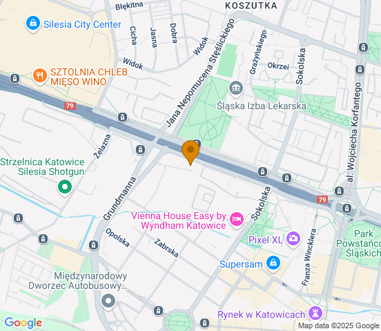 Mapa dojazdu do warsztatu samochodowego w miejscowości Katowice