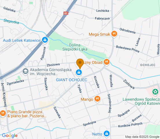 Mapa dojazdu do warsztatu samochodowego w miejscowości Katowice