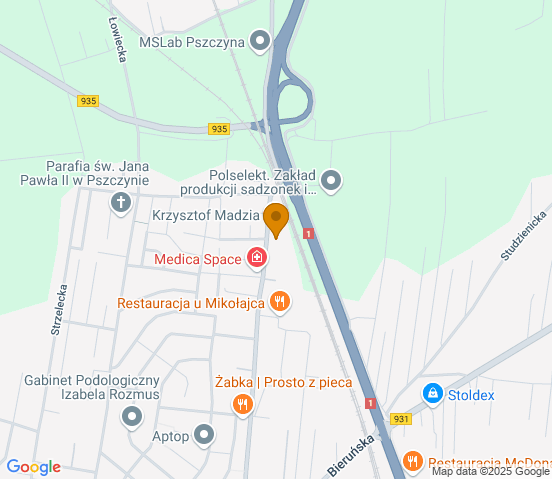 Mapa dojazdu do warsztatu samochodowego w miejscowości Pszczyna
