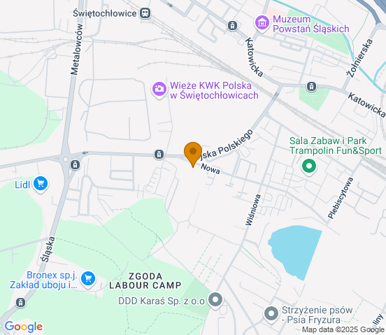Mapa dojazdu do warsztatu samochodowego w miejscowości Świętochłowice