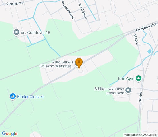Mapa dojazdu do warsztatu samochodowego w miejscowości Gniezno
