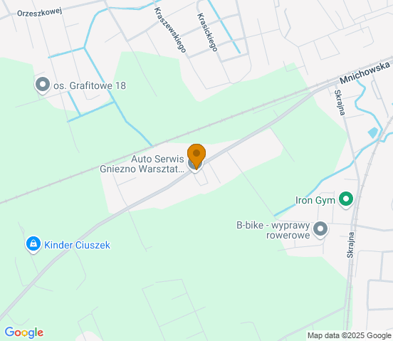 Mapa dojazdu do warsztatu samochodowego w miejscowości Gniezno
