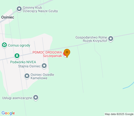 Mapa dojazdu do warsztatu samochodowego w miejscowości Gniezno
