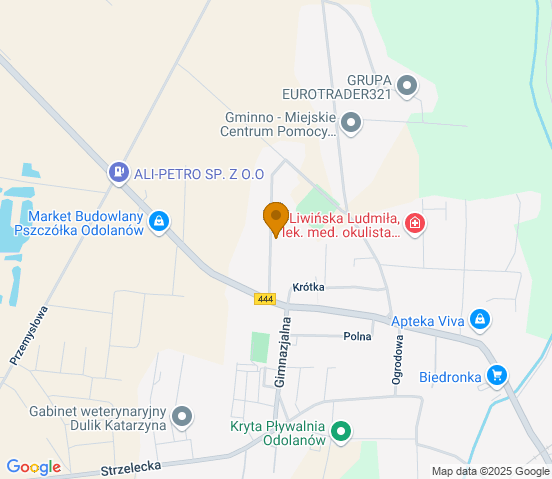 Mapa dojazdu do warsztatu samochodowego w miejscowości Odolanów
