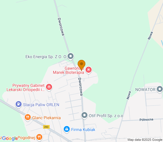 Mapa dojazdu do warsztatu samochodowego w miejscowości Witkowo